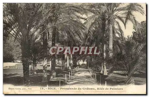 Nice - Promenade du Chateau - Allee de Palmiers - Cartes postales