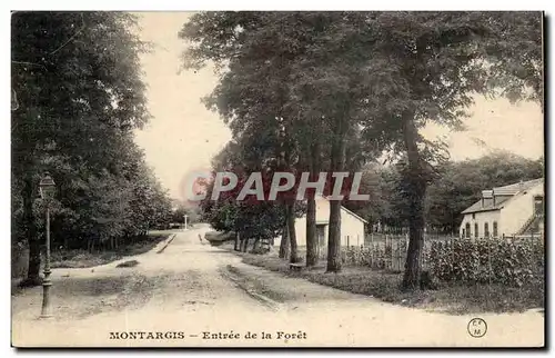 Montargis Cartes postales entree de la foret