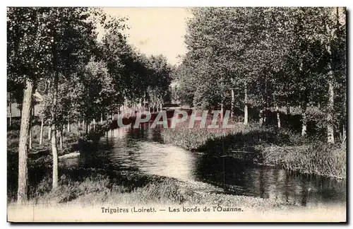 Trigueres Ansichtskarte AK Les bords de l&#39Ouanne