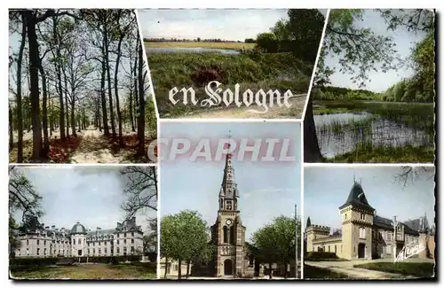 Paysages de Sologne Ansichtskarte AK Chateau de SAlbris Eglise de Lamotte Beuvron FErte Saint Aubin