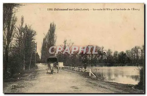 Chateauneuf sur Loire Cartes postales La route de Vitry et les bords de l&#39etang