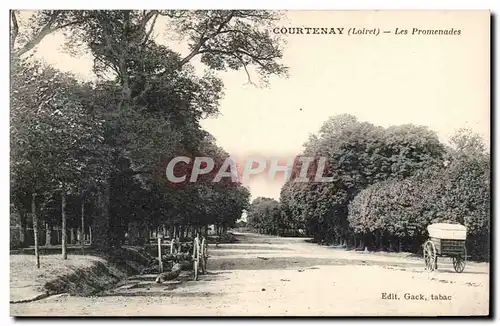 Courtenay Cartes postales Les promenades