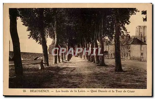 Beaugency Cartes postales Les bords de la Loire Quai Dunois et la tour de Cesar