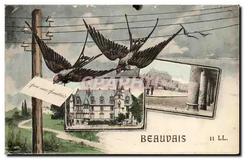 Cartes postales Beauvais Hirondelles