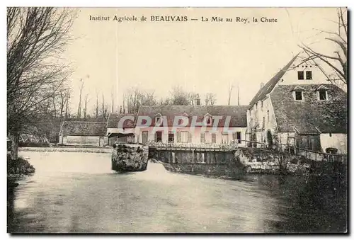 Cartes postales Beauvais Institut agricole La Mie au Roy La chute