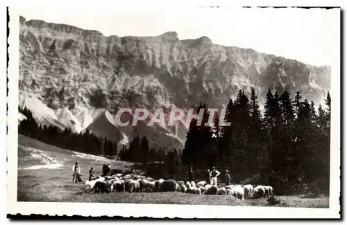 Moderne Karte Megeve Troupeau de moutons sous les aiguilles du Joly