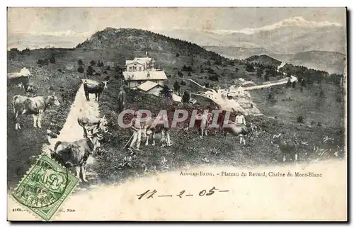 Cartes postales Aix les Bains Plateau du Revard Chaine du Mont Blanc (vaches vache cow)