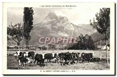 Ansichtskarte AK Les belles colelctions de Haute Saboie La dent d&#39Ocre (vaches)