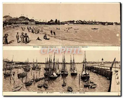 Royan - Grande Conche - Vue Panoramique - Cartes postales