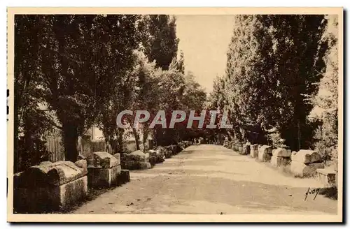 Arles - Les Aliscamps - Allee des Tombeaux - Cartes postales