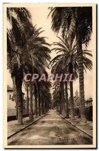 Hyeres - Boulevard de Beauregarde Cartes postales