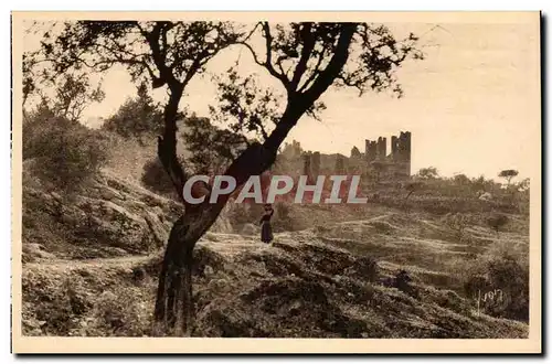 Hyeres - Le Vieux Chateau vu a travers les Oliviers Cartes postales