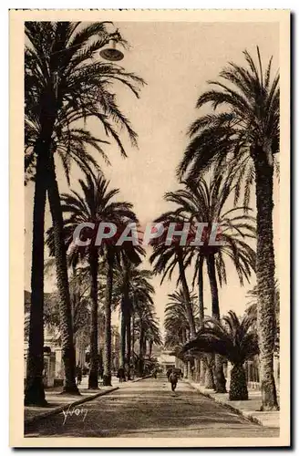 Hyeres - Avenue de Belgique Cartes postales