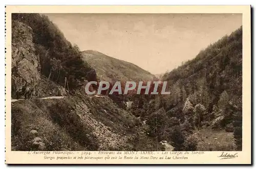 Environs de Mont Dore - Les gorges de Sur ain - Ansichtskarte AK