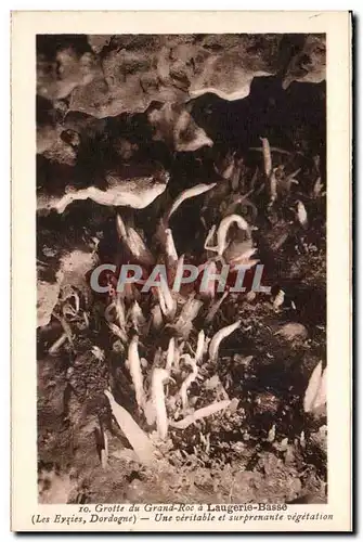 Laugerie Basse - Entree de la Grotte - Une veritable surprenante vegetation - Cartes postales