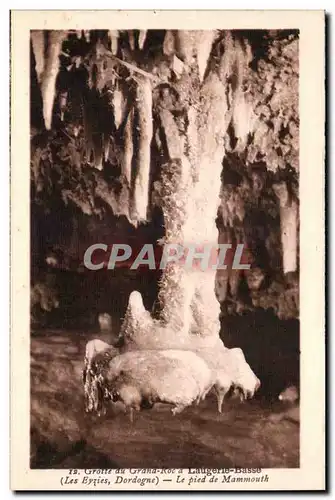Laugerie Basse - Entree de la Grotte - La Pied de Mammouth - Cartes postales