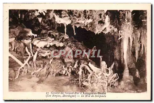 Laugerie Basse - Grotte du Grand Roc - Le nid de Serpents - Cartes postales