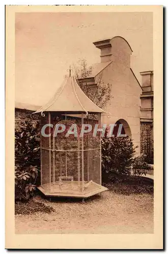 Alencon - Les Tourterelles provenant du couple historique - Cartes postales