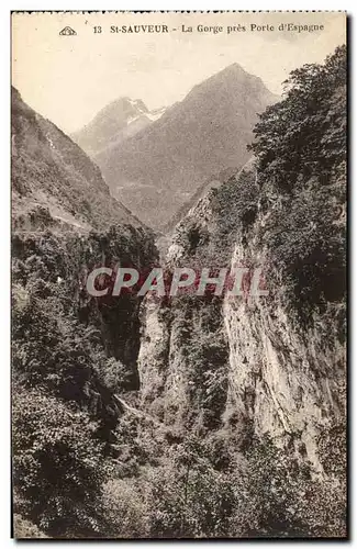 Saint Sauveur Ansichtskarte AK La gorge pres porte d&#39Espagne