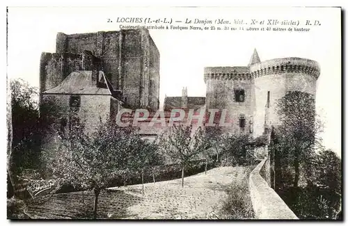 Loches Cartes postales Le chateau