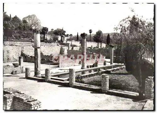 Cartes postales moderne Vaison la Romaine La maison des Messu