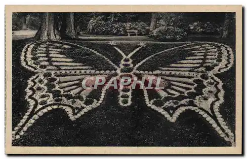 Rouen Cartes postales Le papillon du jardin des plantes (butterfly)