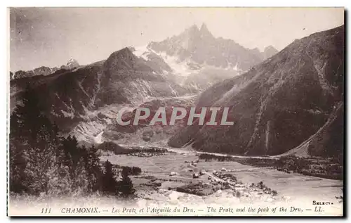 Chamonix Ansichtskarte AK Les pratz et l&#39aiguille du Dru