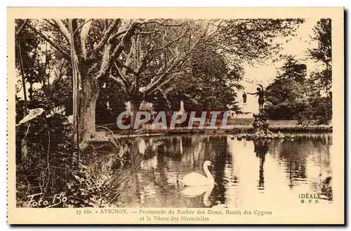 Avignon- Promenade du Rocher des Doms - Bassin des Cygnes - Ansichtskarte AK