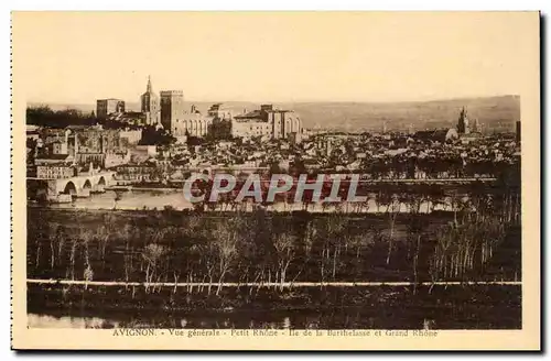 Avignon - Vue Generale Petit Rhone - Ile de la Barthelasse et Grand Rhone Ansichtskarte AK