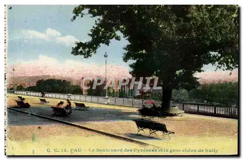 Pau - Le Boulevard des Pyrenees et le Gros Chene de Sully - Ansichtskarte AK