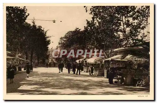 Toulouse - Avenue Jean Jaures - Ansichtskarte AK