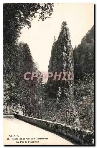 Dauphine - Route de la Grande Chartreuse - Le Pic d&#39Oeuileete - Ansichtskarte AK