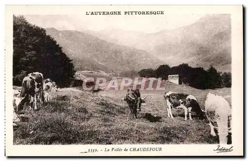 Cartes postales Auvergne La vallee de Chaudefour (vaches)