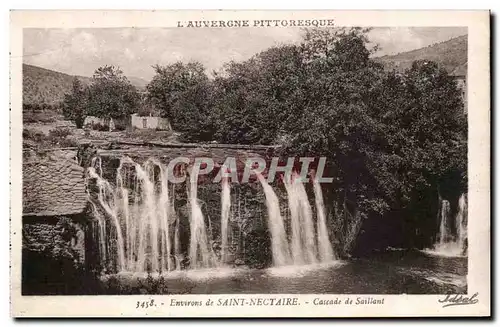 Cartes postales Auvergne Environs de Saint Nectaire Cascade de SAillant