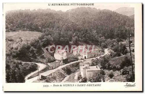 Ansichtskarte AK Auvergne Route de Murols a Saint Nectaire