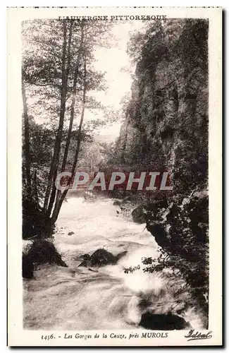 Ansichtskarte AK Auvergne Les gorges de la Couze pres Murols