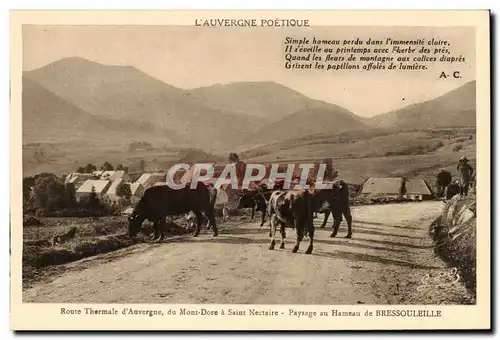 Route thermale d&#39Auvergne Ansichtskarte AK Du Mont Dore a Saint Nectaire Paysage du hameeau de Bressouleille