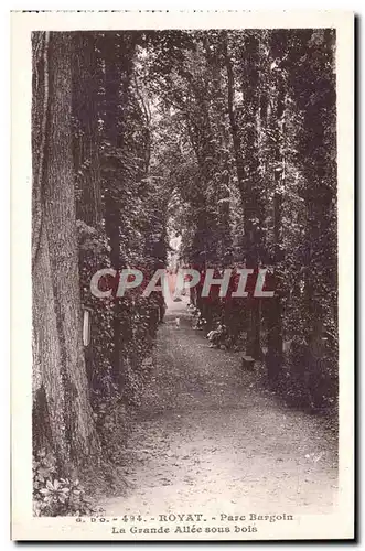 Ansichtskarte AK Royat Parc Bargoin La grande allee sous bois