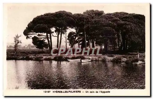 Hyeres les Palmiers - Un Coin de l&#39Ayguade - Cartes postales