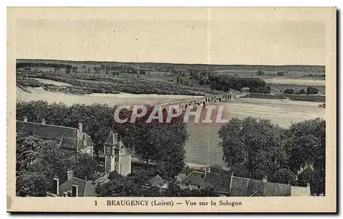 Beaugency - Vue sur la Sologne - Ansichtskarte AK