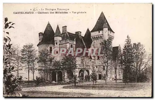 Castelnaud - Chateau des Mirandes - Vue Generale - Cartes postales