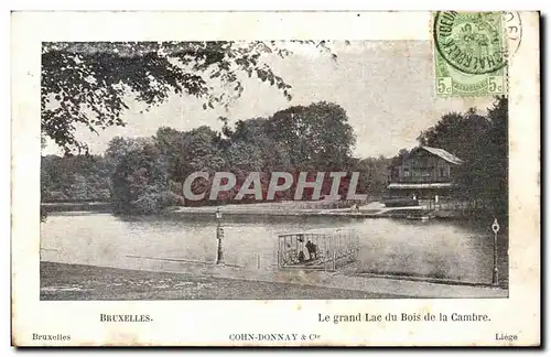 Belgique - Belgien - Bruxelles - Le Grand Lac du Bois de la Cambre Ansichtskarte AK