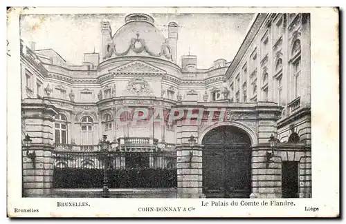 Belgique - Belgien - Bruxelles - Le Palais du Comte du Fandre Cartes postales