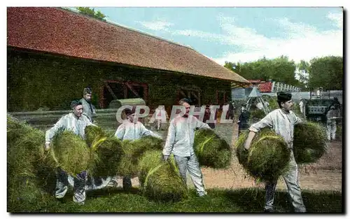 Agriculture - A la Ferme - La Paille - Cartes postales (chevaux cheval)