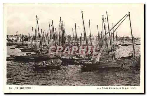 Quiberon - Les filets bleus dans le port Maria - Ansichtskarte AK