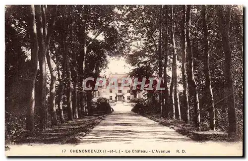 Chenonceaux - Le Chateau - L&#39Avenue - Cartes postales