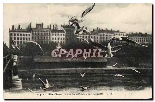 Lyon - L&#39Hiver - Les Mouettes au Pont Lafayette - Cartes postales