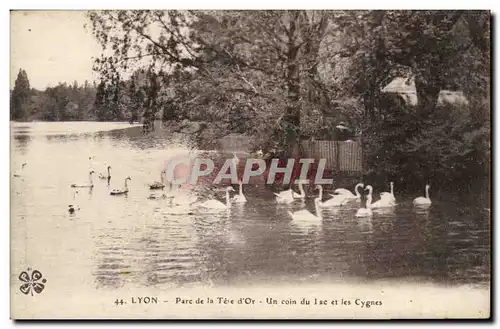 Lyon - Parc de la Tete d&#39Or - Un Coin du Lac et les Cygnes - Cartes postales