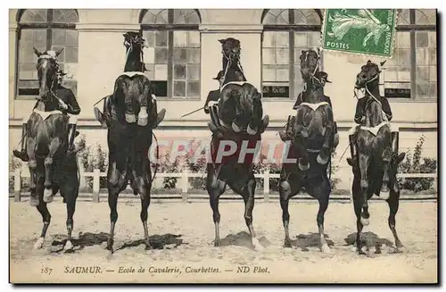 Saumur Cartes postales Ecole de cavalerie Courbettes (cavalier cheval hippisme)