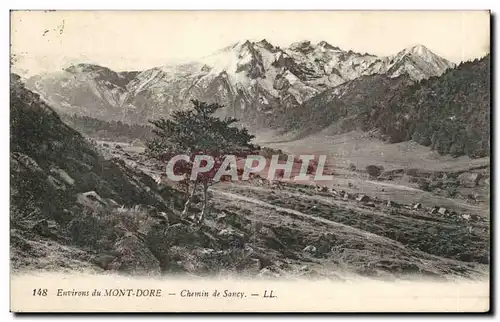 Le Mont Dore - Chemin de Sancy - Cartes postales